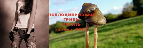 mix Бородино