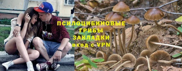 стаф Бугульма