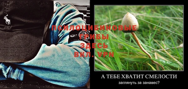 jwh Бронницы