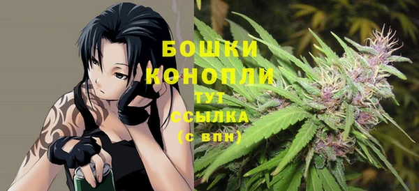 mix Бородино
