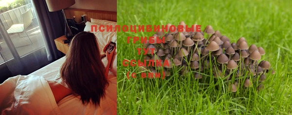 mix Бородино