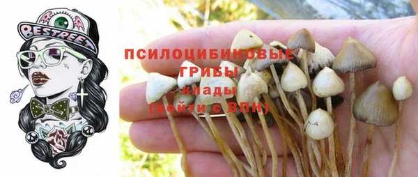 jwh Бронницы