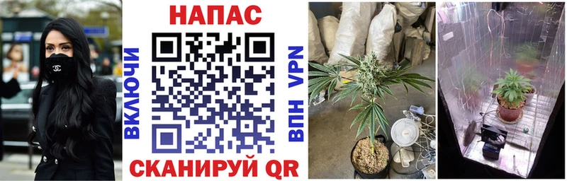 Бошки марихуана OG Kush  Королёв 